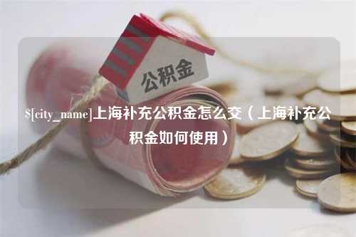 清远上海补充公积金怎么交（上海补充公积金如何使用）